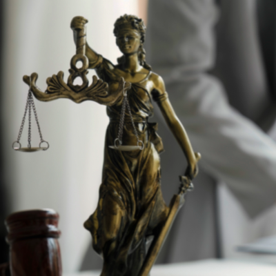 Conhecer o sistema para pedido e concess�o de registro dos mecanismos de prote��o vinculados ao INPI.