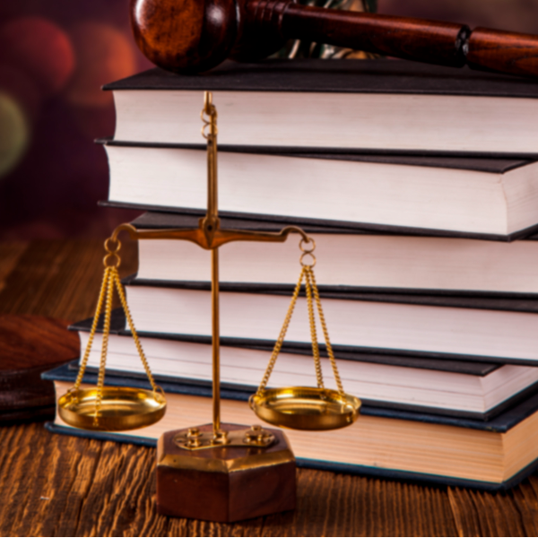 Entendimento da tramita��o dos processos no INPI.